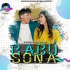 About Babu Sona Song